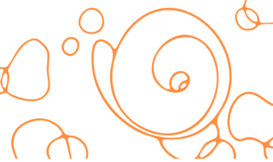 LES SOINS PALLIATIFS GÉRIATRIQUES : L’INTERDISCIPLINARITÉ EN ACTION