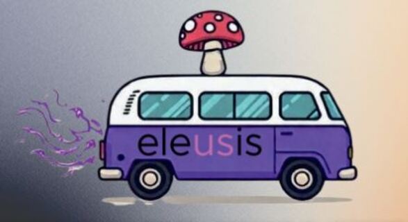 THÉRAPIES ASSISTÉES PAR PSYCHÉDELIQUES